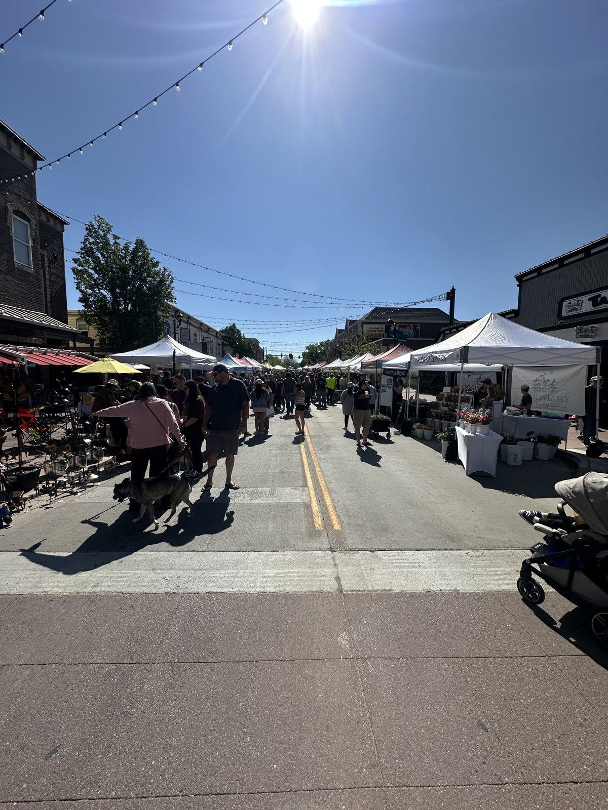 Parker Farmers Market vendor tents lining Mainstreet under festoon lights in downtown Parker, Colorado